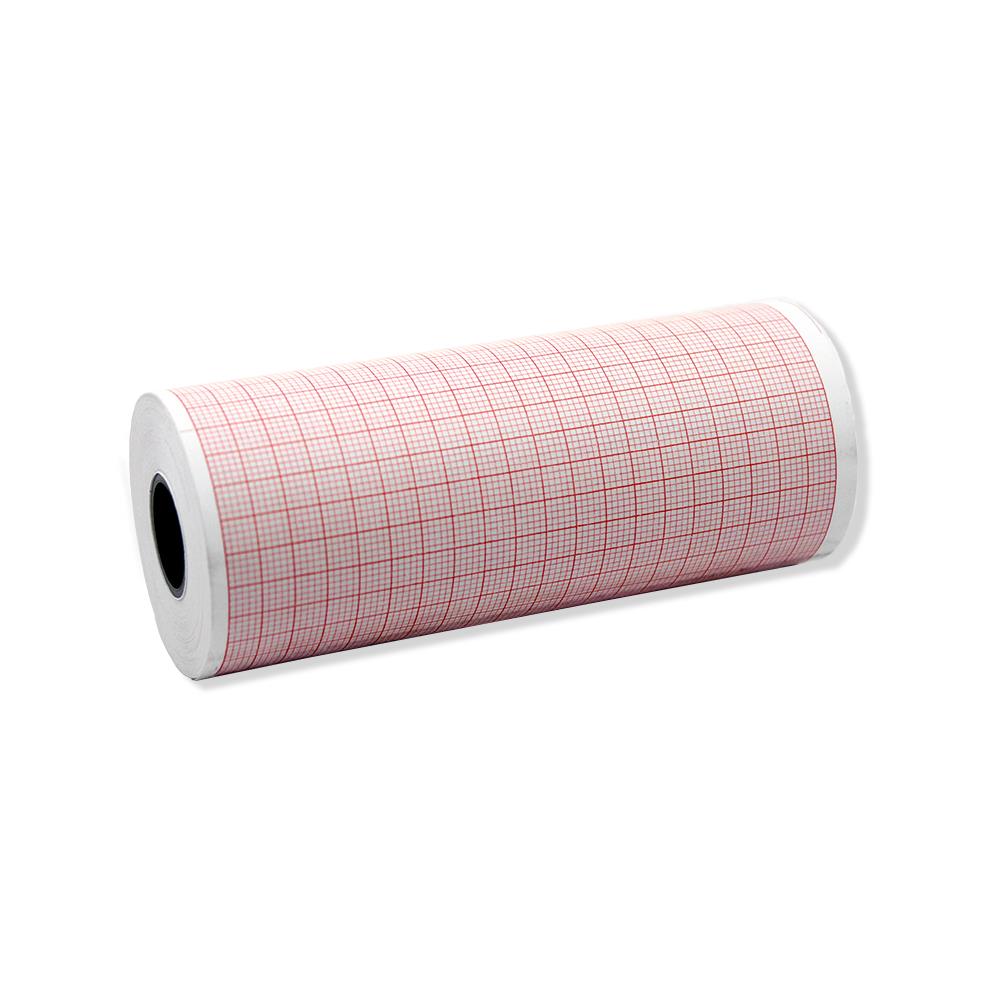Leonhard Lang Lifepak Compatible ECG Papers - PAPER, 100 MM Leonhard Lang Lifepak Compatible ECG Papers - PAPER, 100 MM