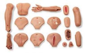 eNasco Male Wound Care Assessment Set - Male Wound Care Assessment Set - LG02159U