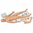Nasco Nursing Kelly VitalSim Capable - Nursing Kelly, VitalSim Capable - LG02171U