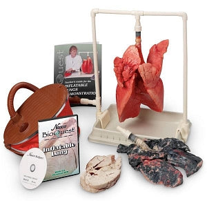 Nasco BioQuest Inflatable Lung Comparison Kit - Inflatable Lung Compar ...