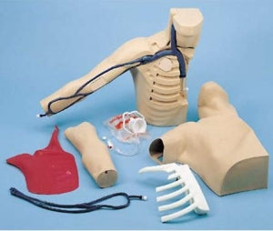 Nasco Peter PICC Line / Components - Peter PICC Line Manikin - SB20132U