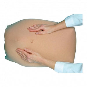 Health Edco Abdominal Palpation Training Model - Abdominal Palpation Training Model - 79820