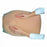 Health Edco Abdominal Palpation Training Model - Abdominal Palpation Training Model - 79820