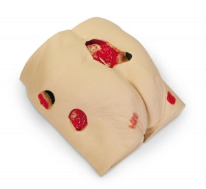 Vata Seymour II Wound Care Model - Seymour II Wound Care Model - 0910