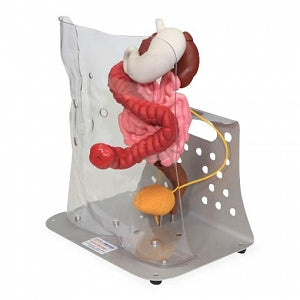 VATA Otto Ostomy Advanced Model - Otto Ostomy Advanced Complete Model - 0310
