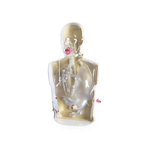 Nasco CorMan Adult Nasogastric / Nasojejunal Feeding Trainer - CorMan Adult Nasogastric / Nasojejunal Feeding Trainer - SB51827