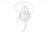 Southmedic Medline Exclusive - OxyMask EtCO2 Oxygen Masks - OxyMask EtCO2 Adult Oxygen Mask with 14' Universal Oxygen Tubing and 15' Gas Sampling Line with Male Connector - OM-2125-14SLM