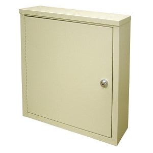 Omnimed Small Wall Storage Cabinets - Small Wall Storage Cabinet, Beige, 16" W x 16.75" H x 4" D - 291610-BG