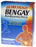 Bengay Patches