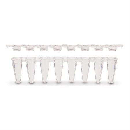 8-Strip PCR Tubes Dome Cap - Clear