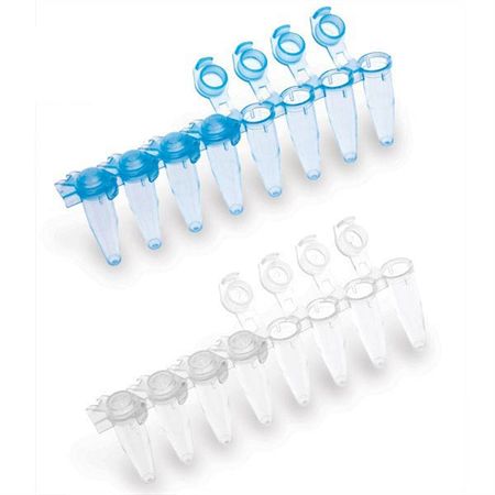 0.2mL PCR Tubes With Dome Cap