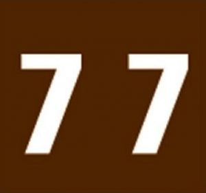 PDC Healthcare AMES Compatible Numeric Labels - Mylar-Coated Ames-Compatible Color-Code Label, Numeric "7," 1-7/8" x 1-7/8", Brown - 59742376