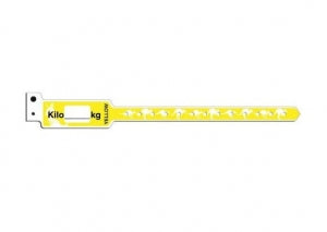 Brady Worldwide KangaBand Wristbands - KangaBand Wristband, Broselow, Yellow, 12 kg to 14 kg - KG470SYL-11-PDJ