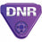 PDC Healthcare In-A-Snap Alert Band Clasps - In-A-Snap Alert Wristband Clasp, "DNR", Purple - WBCLASP-SDN8