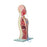 Pocket Nurse NG and Tracheostomy Teaching Torsos - TORSO, TEACHING, ACCESSORY, PACK, NG, TRACH - 11-81-2504
