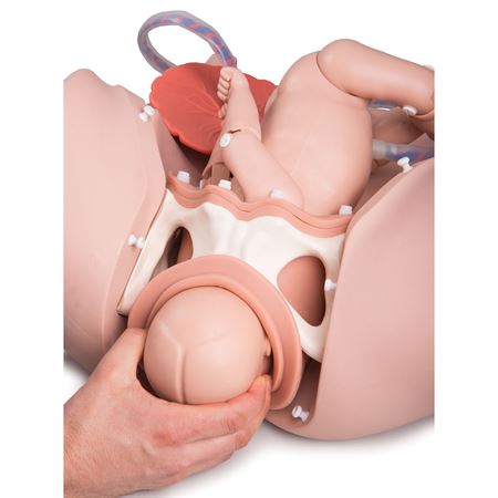 PRO Birthing Simulator PRO Birthing Simulator