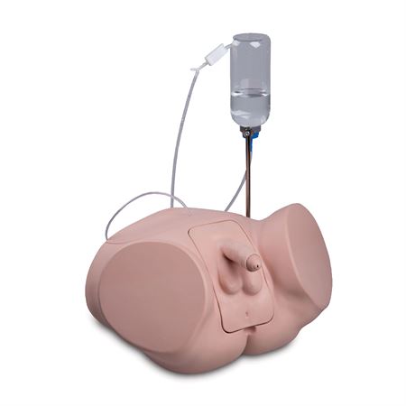 PRO Catheterization Simulator Female and Male Set