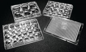 Protective Sterile Untreated 6, 12, 24 & 384-well - STER UNTREATED 24 WELL PLATES W/LID - 222-8044-01F