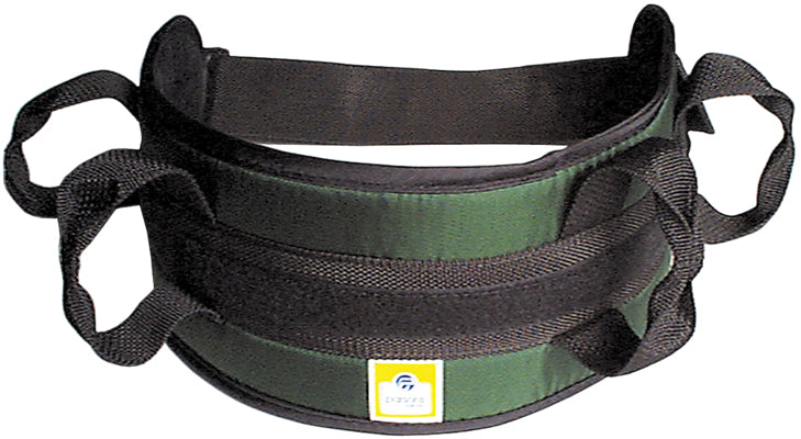Padded transfer belt