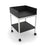 Mobile Lab Cart with Shelf Side & Back Panels 24"W x 30"D x 34"H