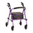 Journey Rolling Walker Purple