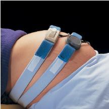 Fetal Monitoring Strap, Plush