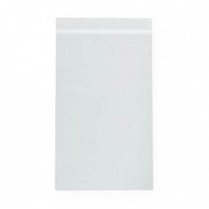 RD Plastics Clear 2-Mil Reclosable Bags - Clear 2 Mil Reclosable Bag, 10" x 13" - A31