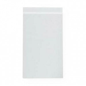 RD Plastics Clear 2-Mil Reclosable Bags - Clear 2 Mil Reclosable Bag, 13" x 18" - A43