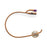 Catheters