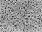 Sartorius Cellulose Acetate Membrane Filters - Cellulose Acetate Membrane Filter, 0.65 μm Pore, 50 mm Dia. - 11105--50------N