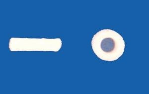 Shippert Med Tech Speedi-Wick Expandacell Ear Wick - Fenestrated Ear W