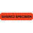 Phlebotomy/Specimen Receiving Labels SHARED SPECIMEN" - Fluorescent orange with black text - 1.625"W x 0.375"H