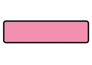 Shamrock Scientific Patient Chart Identification Labels - Patient Chart ID Labels, 1-3/8" x 5-3/8", Rose - CL-11