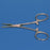 Sklar Hartmann Mosquito Forceps - FORCEP, HARTMANN, MOSQUITO, STR, SERR, 3.5" - 17-1235
