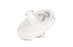 Sartorius Minisart RC25 Filters - Minisart RC25 Syringe Filter with Regenerated Cellulose, 0.2 μm, 25 mm, ETO Sterilized - 17764--------ACK