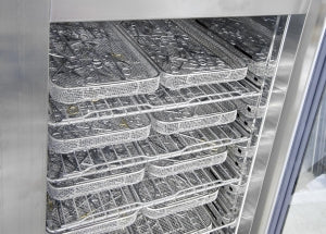 SteelCo Instrument Drying Cabinet - ID 300 8-Shelf Single Glass Door Drying Cabinet (27.9"W x 30.9"Dx 74.8"H) - ID 300-1