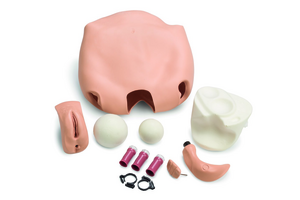 Laerdal Fundus Skills & Assess Modules - FUNDUS SKILLS & ASSESSMENT MODULE - 325-00450