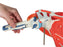 Shoulder Joint with Rotator Cuff
