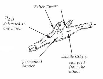 CO2 Sampling Divided Cannula by Tri-Anim Heatlh
