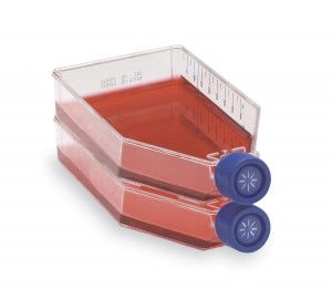 Thomas Scientific Inc Easy Flask St W / Filter - EASY FLASK ST, 75 CM2, W / FILTER - 4619L86