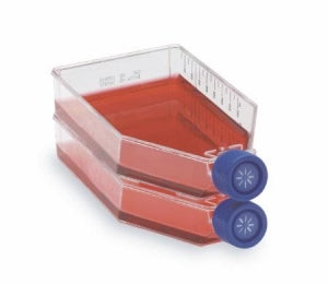 Thomas Scientific Inc Easyflask St W / Filter - EASYFLASK ST, 175 CM2, W / FILTER - 9381Y70