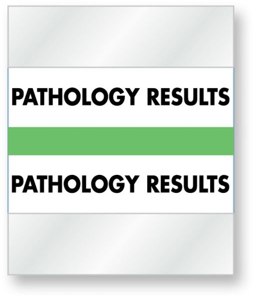 Pathlogy Labelling Medical Use Labels - Color-Coded Chart Divider Tabs - Green -