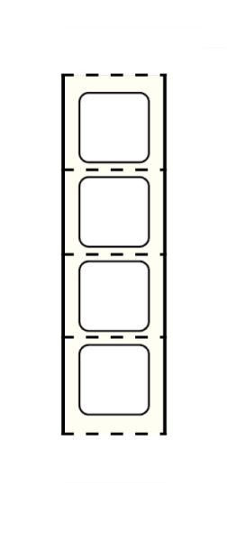 Medical Use Labels - Stainershield Printer Label , 1" Core, 7/8" x 7/8"