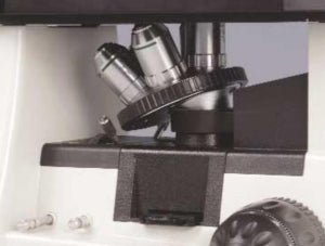 Unico Plan Objective - OBJECTIVE, 20X, PLAN, LWD 20/0.50 - IV950-2305