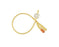 SimplyLatex Foley Catheters