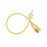 SimplyLatex Foley Catheters