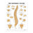 Wolters Kluwer Vertebral Column Anatomical Chart - The Vertebral Column Anatomical Chart, Laminated - 9781587792106