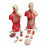 Wolters Kluwer Torso Models - Little Joe 15-Part Torso Model - CMT4