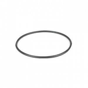DWK Life Sciences Wheaton Sealing Ring - RUBBER SEALING RING, VAC DESCICATOR, 100MM - 366012