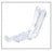 Amsino Vaginal Speculums - Disposable Vaginal Speculum, Size L - AS032L